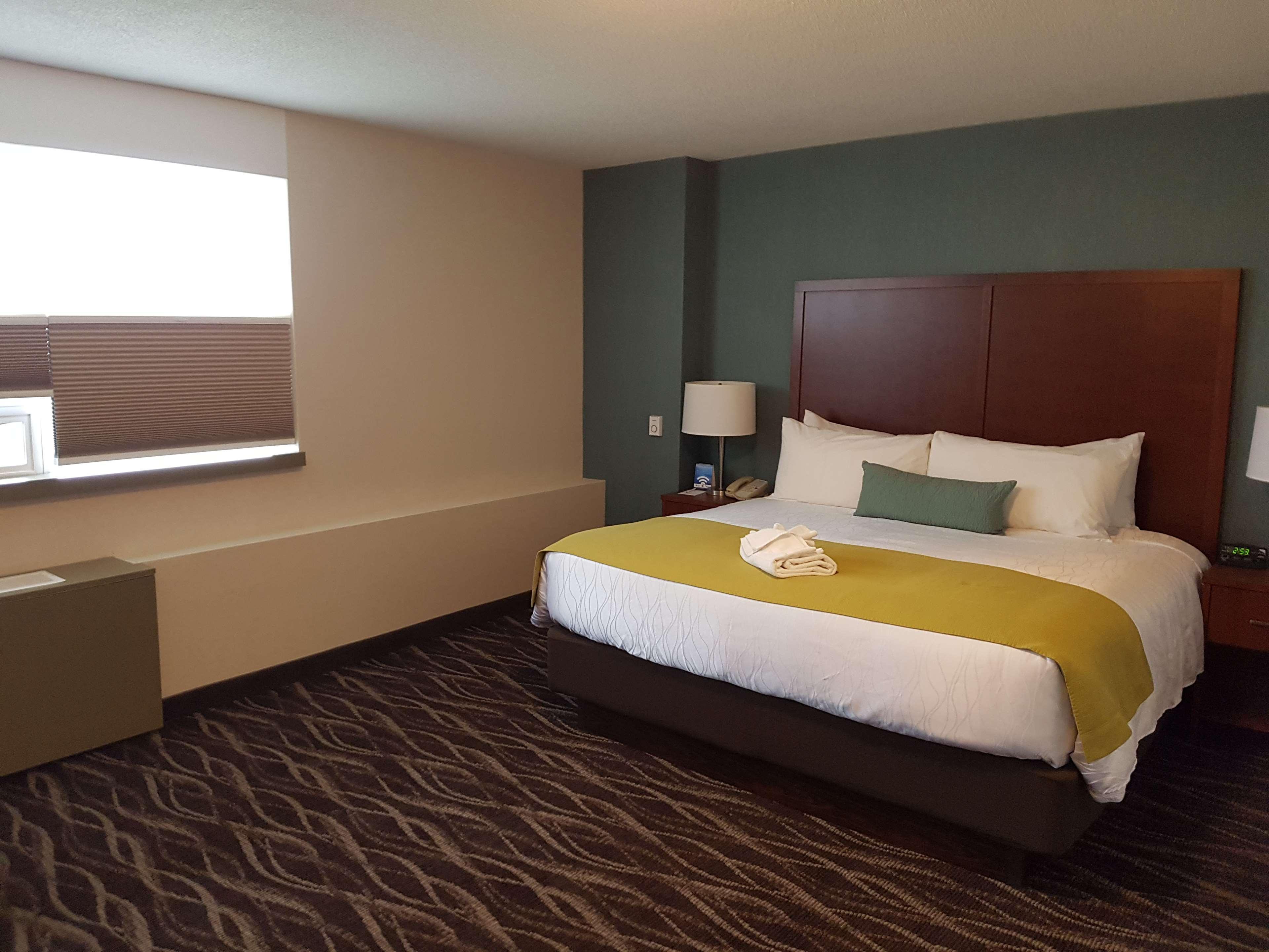 Best Western Plus Durham Hotel & Conference Centre Oshawa Bagian luar foto